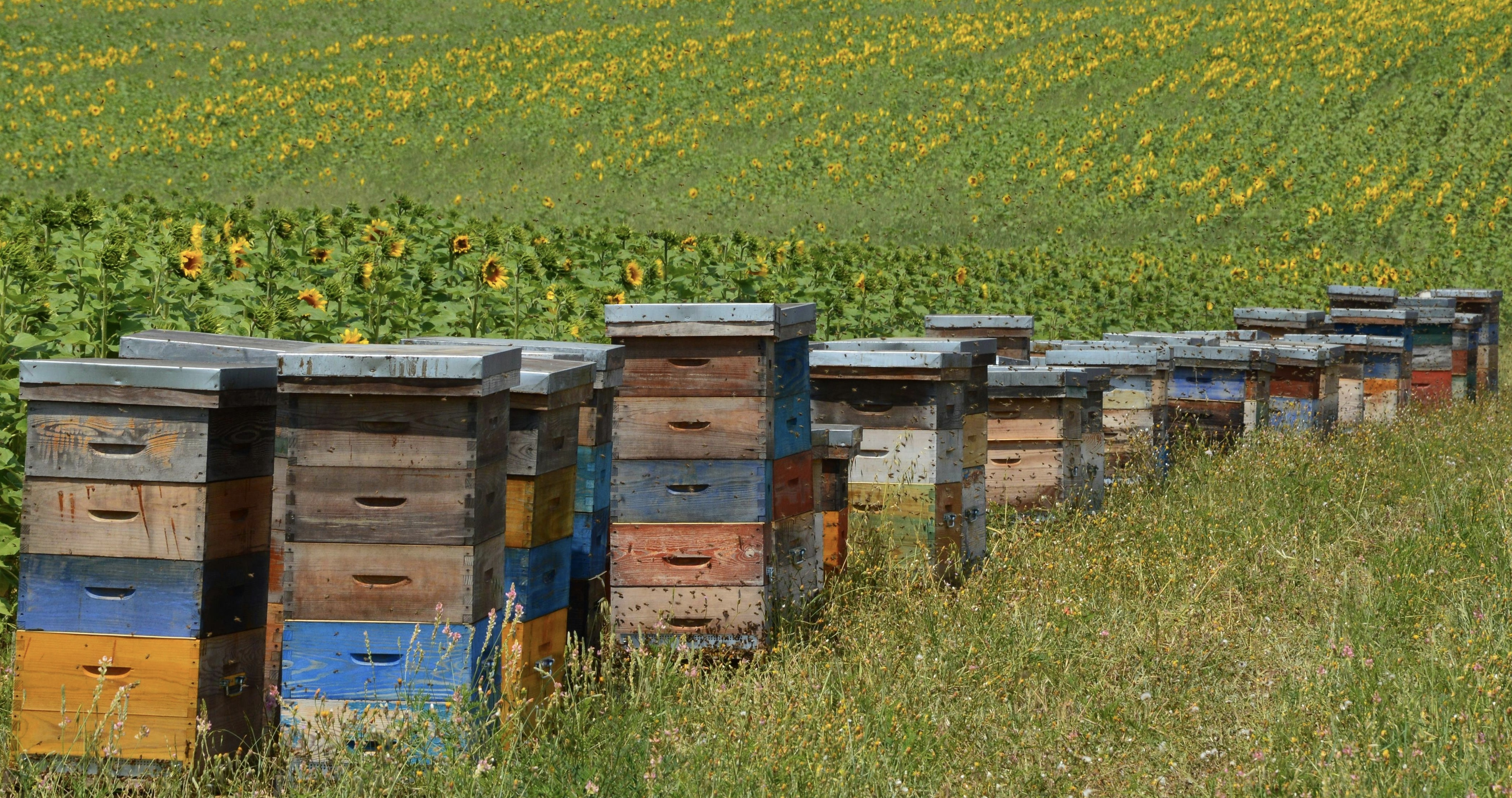 Kādām prasībām jāatbilst labam stropam?