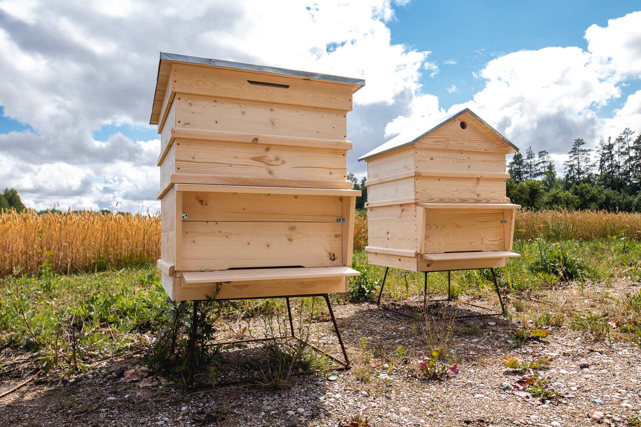 Latvijas stāvstropi