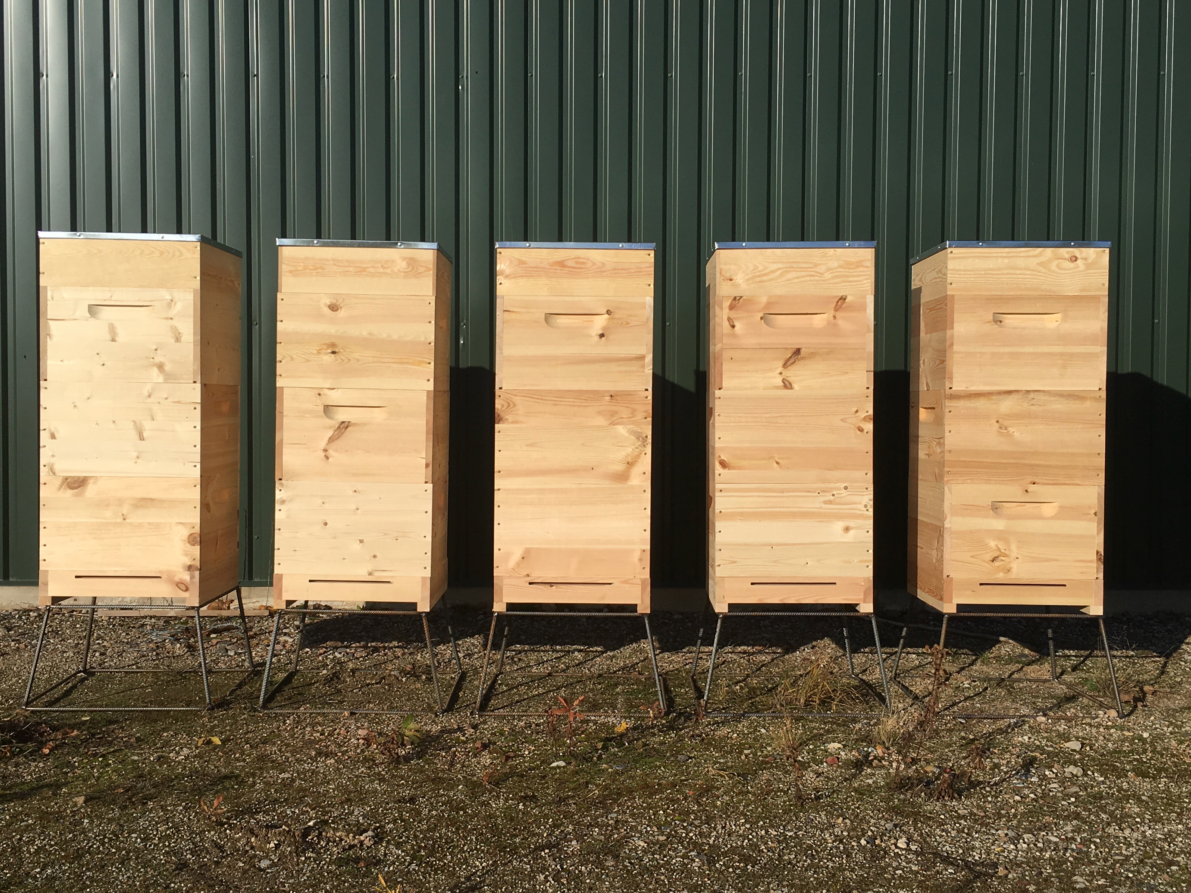 Norvēģu jeb daudzkorpusu stropi